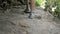 Man feet in sneakers and socks trek along steep stone climb