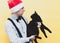 Man in festive red christmas santa hat holding and looking at cute scared big fat black cat