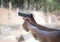 Man firing pistol at firing range