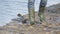 A man fisherman in green rubber boots is walking along the swampy shore of a reservoir