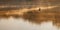 Man fishing on a boat in a mystic foggy lake