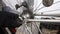 A man fixes the rear wheel on a mountain bike frame. Wrench. Bicycle repair. Close-up