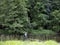 Man fly fishing in river ourthe near la roche en ardennes in french speaking part of belgium