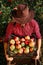 Man garden collect ripe apples hat green red proprietor worker owner harvest box basket