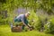 Man garden plants