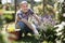 man gardener caring for roses in the garden