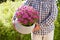 man gardener holding chrysanthemum flowers in flowerpot in garden