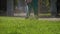 Man Gardener Mows the Grass on the Lawn using a Gasoline Mower in the Park. Slow Motion