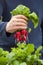 Man gardener picking radish from vegetable container garden on b