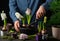 Man gardener planting winter or spring flowers hyacinth on black background