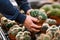 Man gardener shopping in garden center, buying cactus houseplant