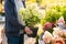 Man gardener shopping in garden center, buying hydrangea flower