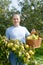 Man gathers apples in garden