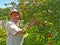 The man gathers apples on a garden site