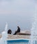 A man gazes towards the sea and a kissing couple in Paleo Faliro on a misty day