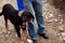 Man gently petting happy young black dog. Portrait of cute domestic animal. Selective focus