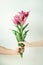 Man gives flowers to woman. Male and female hand holding bouquet on white background