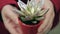 Man gives a woman a silver gasteria plant in a flower pot