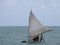 Man giving tourists a ride on his humble little sailboat.