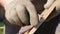 A man in gloves cleans the plywood with sandpaper