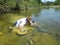 Man,gold panning