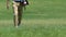 Man with golf bag walking along fairway to next hole, changing location, hobby