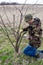 A man grafts a fruit tree and covers the cut with horticultural wax. Grafting an apricot onto a cherry plum