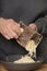 Man grating block of young gouda cheese for spaghetti with minced pork and beef meat