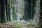 Man on a gravel bike. Cyclist on the empty path in tree alley