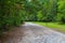 A man in a gray shirt walking his dog down a long winding dirt hiking trail covered with fallen autumn leaves