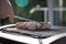 Man grilling and turning German Bratwurst pork sausage with metal tong on electric barbecue BBQ grill