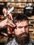 Man hairstylist. Beard man in barbershop. Hairstylist serving client at barber shop, bearded. Hairdresser, hair salon