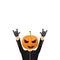 Man in halloween costume with pumpkin mask isolated on white background. Happy Halloween rock n roll party background