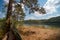 Man in hammock, first person look view, warm summer day, pine tree. river and mountains background. Travel and vacation, tourism