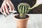 Man hand cactus with water