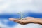 Man hand gesture open up holding stack coins on palm with sapling on clouds sky background. Conceptual saving, investment, growing