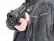 Man with hand gun pistol rubber attack violence