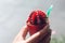 Man hand holding beautiful colour cactus pottery