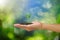 Man hand holding sprout isolated on blurred green bokeh and sky background