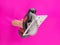 Man hand holds Brushless Cordless circular saw that breaks through magenta color wall