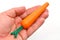 Man hand offering a carrot