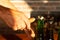 Man hand opens Brown and green ice cold beer bottles with water drops with old opener, closeup