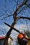 Man hand in orange protective glove cut rotten tree with chainsaw on backyard. Home improvement