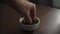 man hand take chocolate covered pistachios from white bowl on walnut table