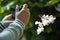 Man hand taking picture of butterfliy