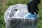 Man hand while trash protective mask on separate garbage bin,covid19 medical disposal waste