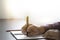 man hand using writing pen memo on notebook paper or letter, diary on table desk office.