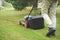 Man handling lawn with lawnmower