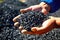 Man hands hold black granules biochar pellets. Handful of charcoal pellets fuel in a person hands. Organic biochar derived made