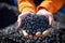 Man hands hold black granules biochar pellets. Handful of charcoal pellets fuel in a person hands. Organic biochar derived made